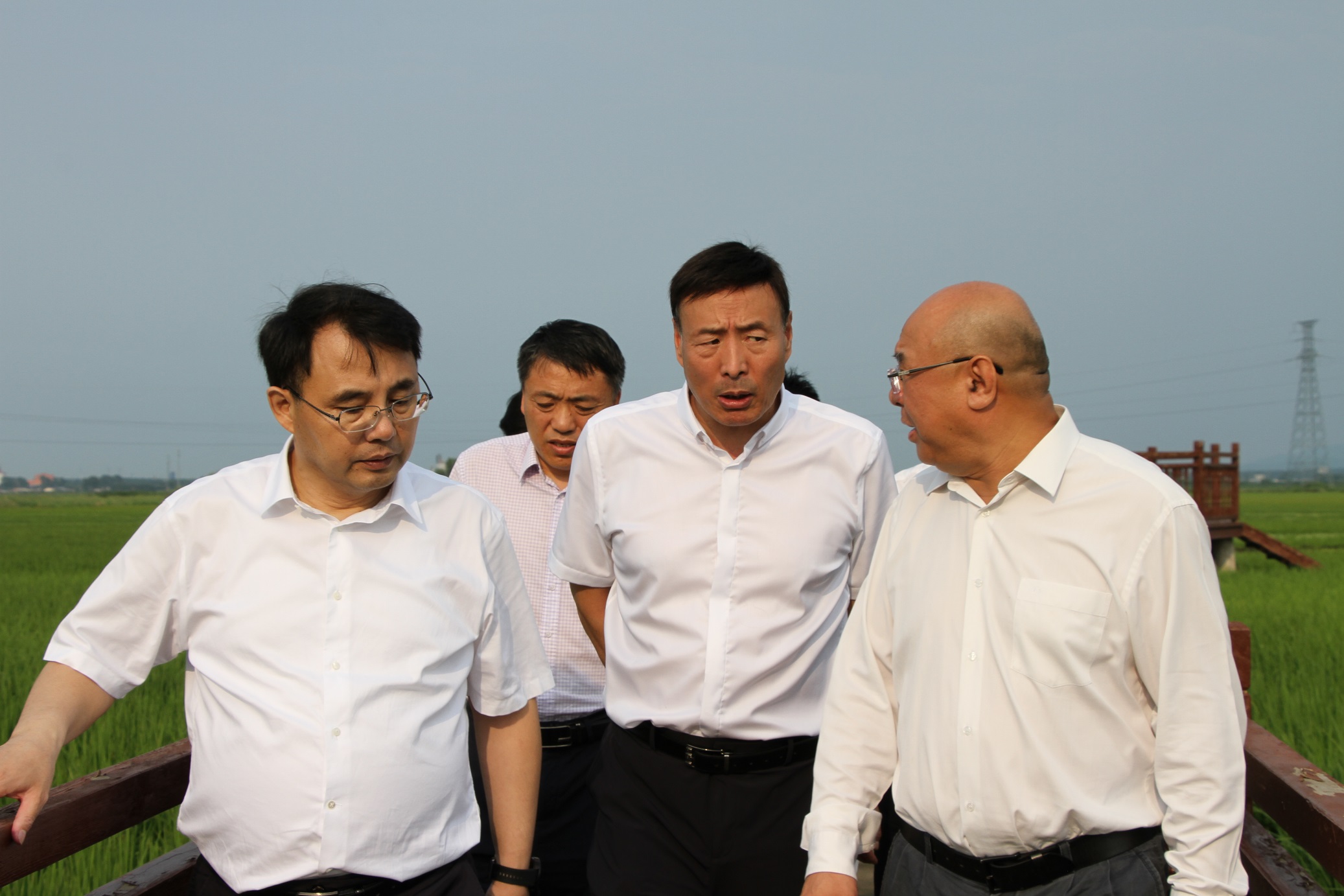 IMG_1278 - 副本.JPG